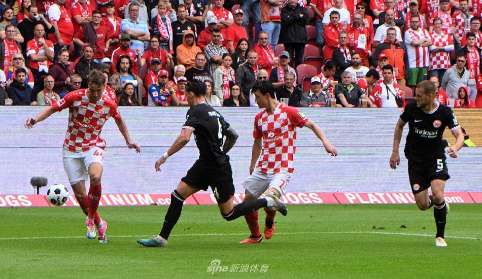 成为他们卫 成为他们卫